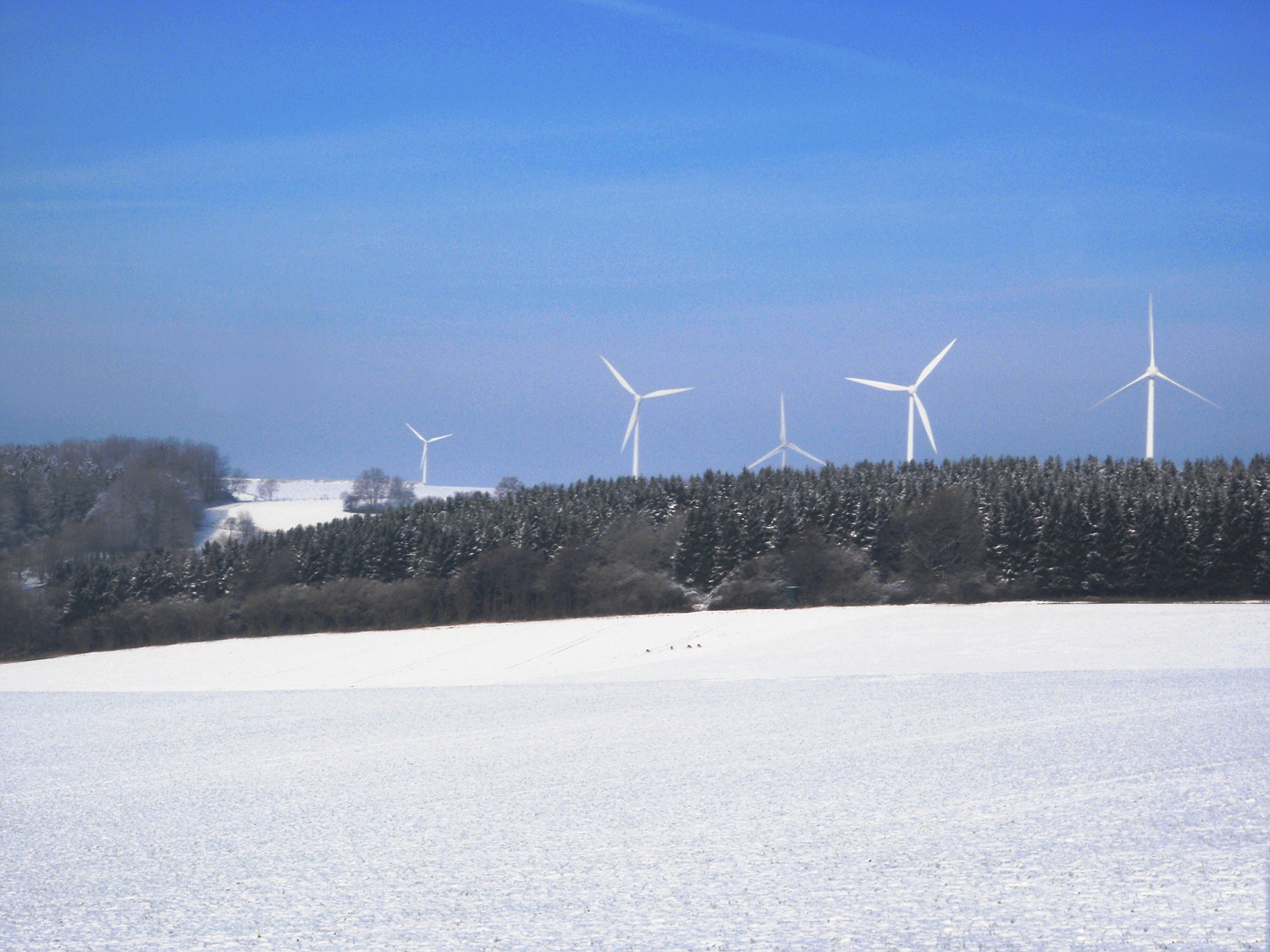 Winterlandschaft und Windenergie